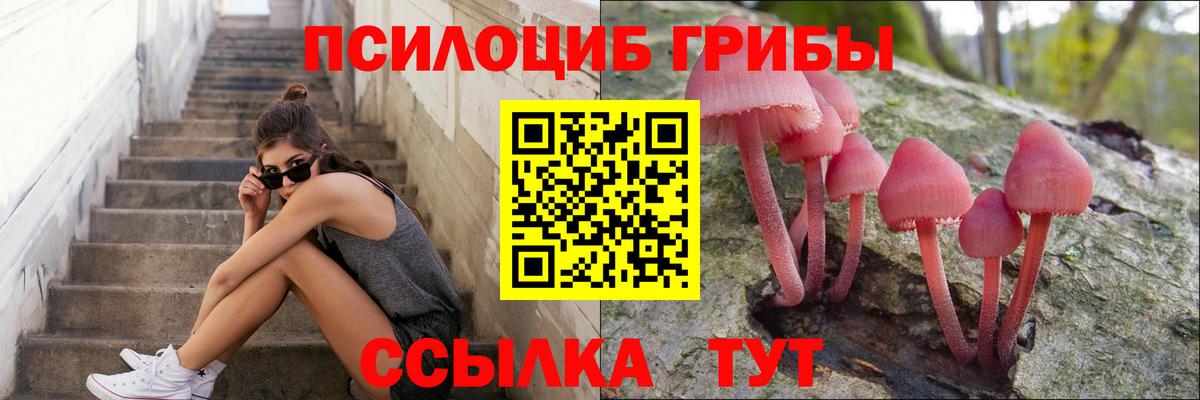 купить наркотик  Вход с VPN  Кузнецк  Галлюциногенные грибы MAGIC MUSHROOMS 