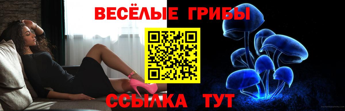 Галлюциногенные грибы мицелий Кузнецк